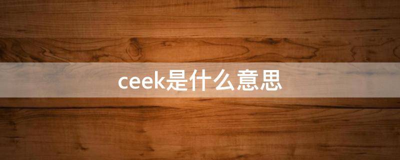 ceek是什么意思 checker的中文是什么