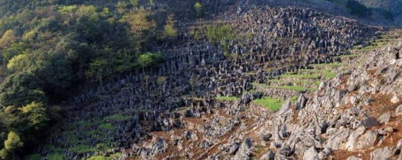 石漠化原因（土壤石漠化原因）