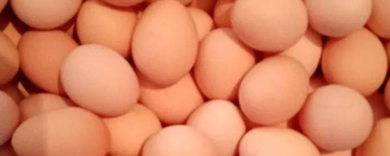 鸡蛋放冰箱能放多久 夏天鸡蛋放冰箱能放多久
