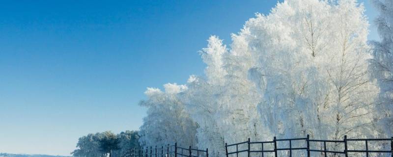 怎么形容下雪天的美景 怎样形容下雪的美景