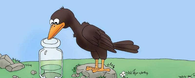 乌鸦喝水有几种方法能喝到水 乌鸦喝水有三种方法能喝到水