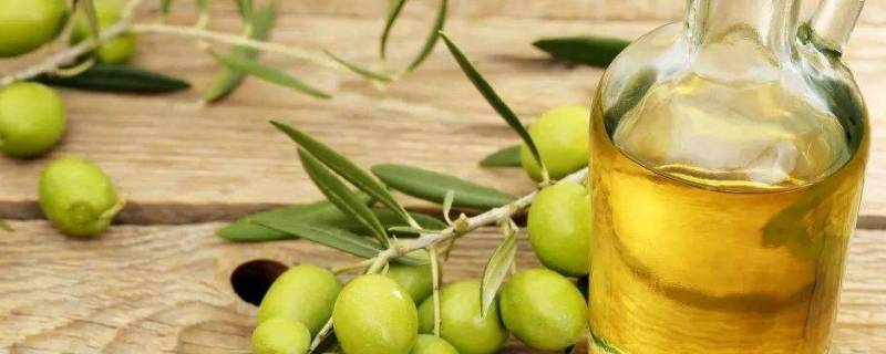 橄榄油会结晶吗 橄榄油结晶是变质了吗?