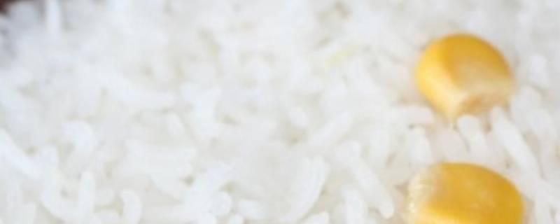 2个人蒸米饭水米比例（2个人蒸米饭水和米的比例是多少）