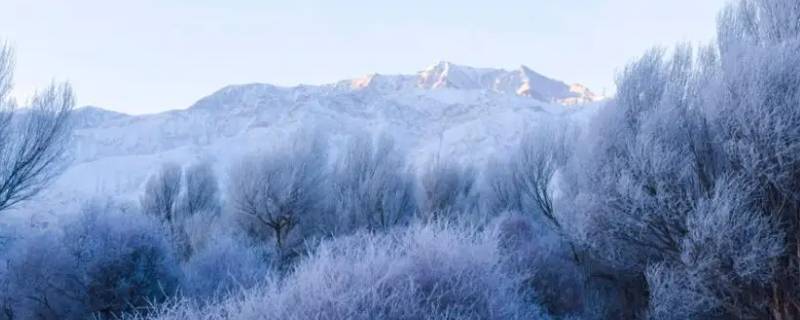 雪前冷还是雪后冷（下雪前冷还是雪后冷）