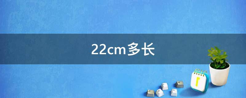 22cm多长 22cm多长?