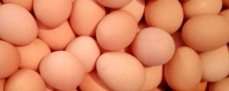 冬天鸡蛋要放冰箱保存吗 冬天鸡蛋需要放冰箱保存吗