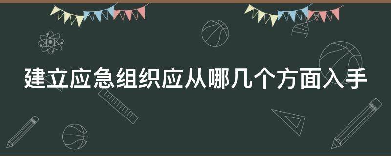 建立应急组织应从哪几个方面入手 建立应急组织应从什么入手