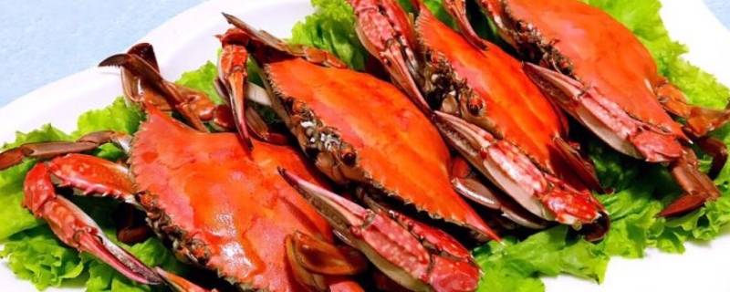 飞蟹蒸多久（飞蟹蒸多久才能蒸熟）