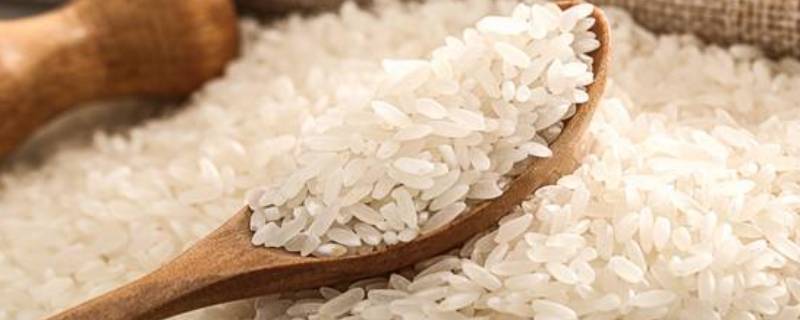 丝苗米是什么米 丝苗米好吃吗