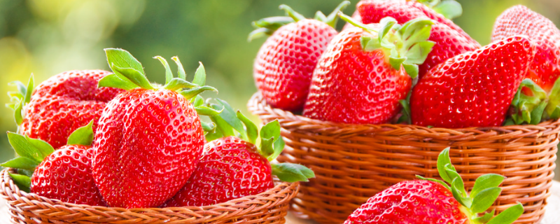 草莓的特点怎么描述 草莓的特点怎么写