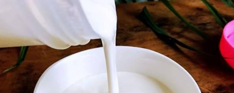 酸奶保质期一般是多久 纯甄酸奶保质期一般是多久