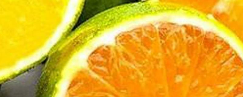 绿色的橙子是什么品种 绿皮的橙子是什么品种