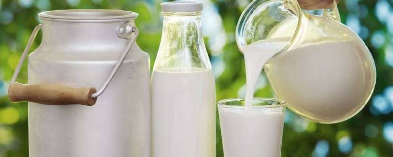 生牛乳和纯牛奶有什么区别 生牛乳和纯牛奶有啥区别