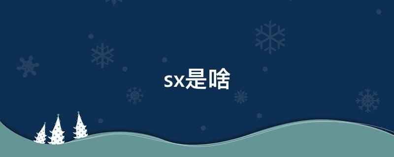 sx是啥 sx是啥意思