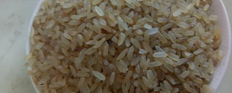 菩米是什么米 客家菩米是什么米
