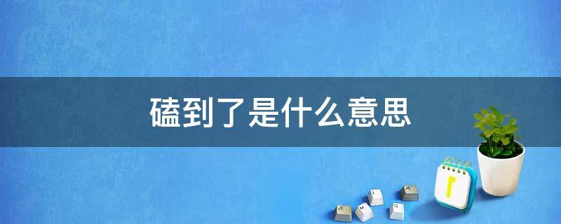 磕到了是什么意思 磕到了是什么意思怎么回