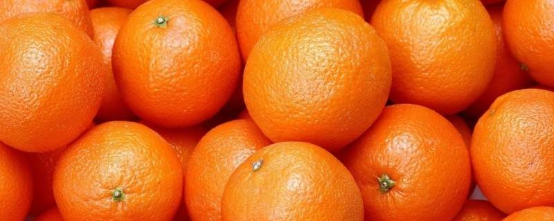 橙子寓意 橙子寓意 橙子代表什么象征意义