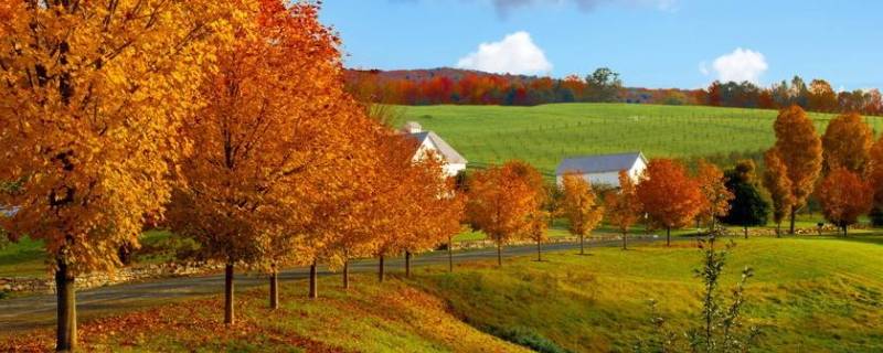 秋天代表着什么寓意（秋天的寓意是什么）