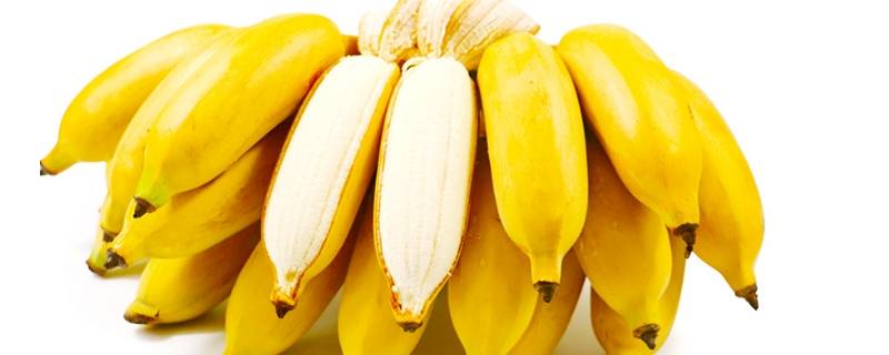 小香蕉是什么品种 小小的香蕉是什么品种的?