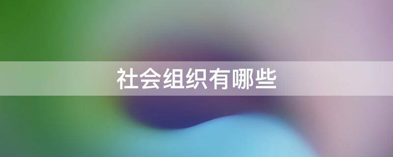 社会组织有哪些 农村社会组织有哪些