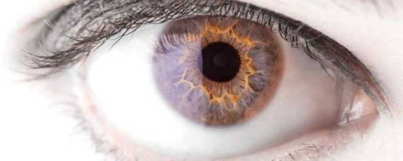 瞳色有多少种 瞳色是什么颜色
