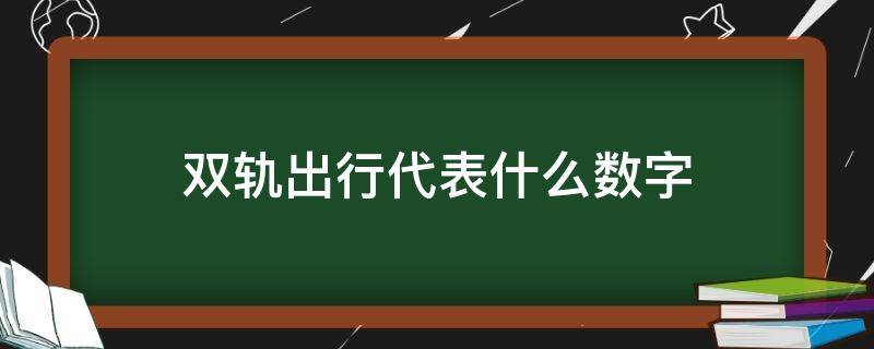 双轨出行代表什么数字 双轨数字是几