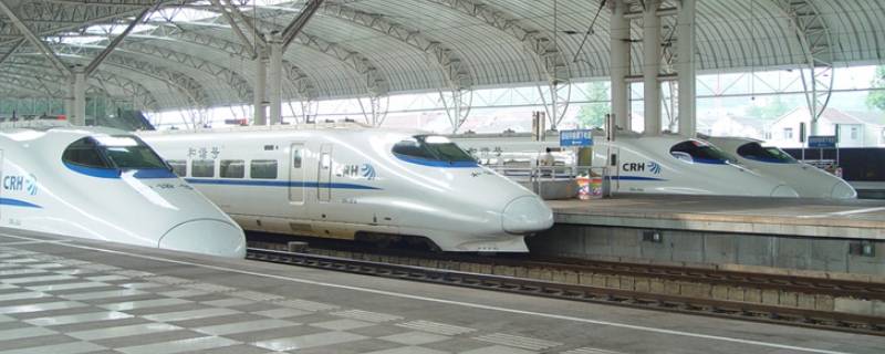 高铁能不能带宠物(高铁能不能带宠物狗)