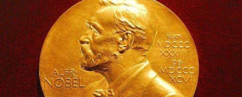 诺贝尔有几个奖 诺贝尔有几个奖项