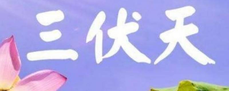 夏天几伏天怎么算（夏天三伏天怎么算）