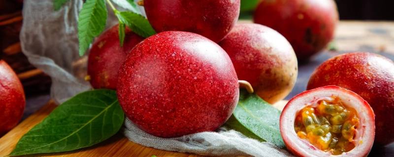 酸的水果有啥 什么酸的水果