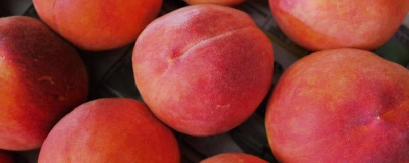 桃子含钾多少（桃子含钾多少毫克）