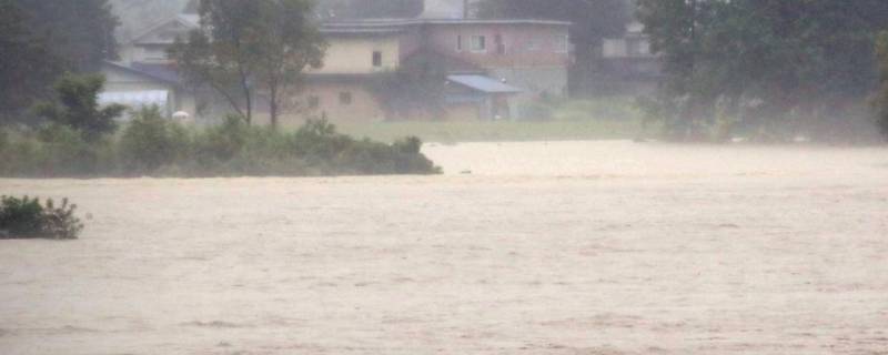 遇到暴雨如何自救 遇到暴雨如何自救儿童画