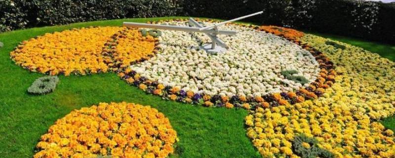 花园之国是哪个国家（玫瑰之国是哪个国家）