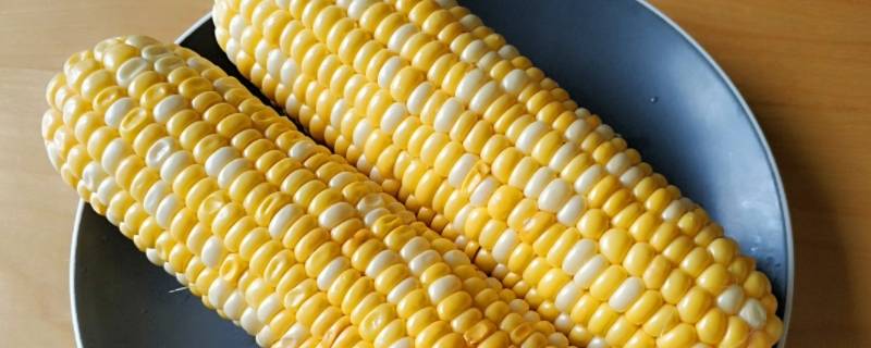 玉米煮时间长了会老吗（玉米煮多久不会老）