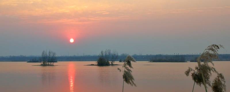 洛河属于河南哪里（洛河属于河南哪个市）