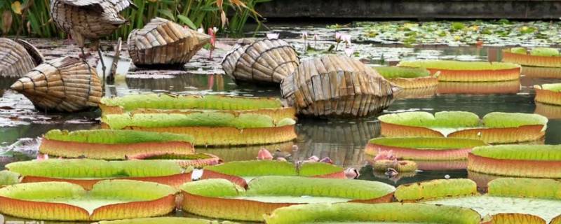 闵行区属于浦东还是浦西（上海闵行区属浦东还是浦西）