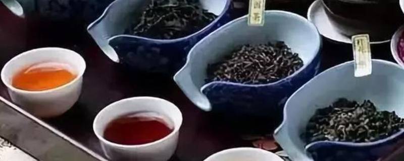 茶的品种有哪些（茶的品种）
