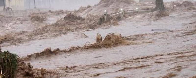 受灾成灾绝收怎么区别（受灾成灾绝收面积怎么填报）