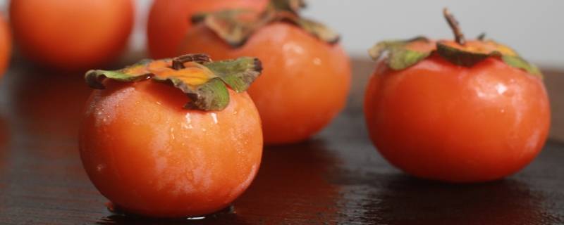 柿子上面长白点点是什么原因 柿子上的白点是什么病