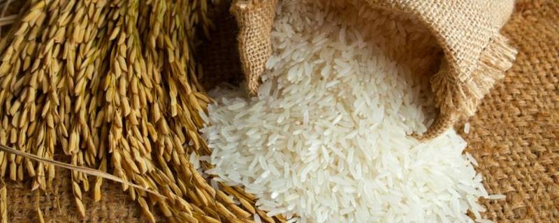 煮熟的大米有点酸味怎么办 大米煮起来有酸味怎么回事
