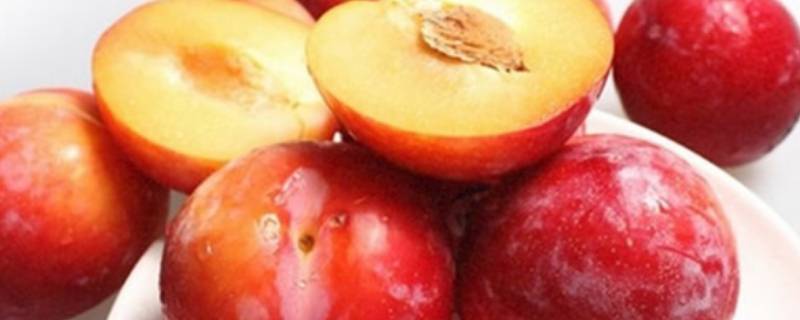 红布林是啥水果 红布林水果好吃吗