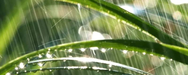 雨水流向哪里 雨水流向何方