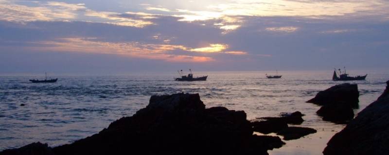 黄河的水流到哪里去了（黄河水从哪里流到哪里）