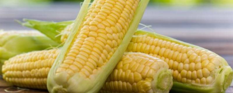 玉米怎么冻冰箱里味道不变（玉米放冰箱怎么加热不变味）