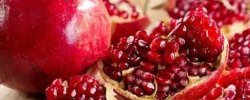 云南石榴几月份成熟（云南番石榴几月份成熟）