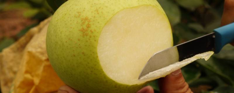苹果梨产地在什么地方 苹果和梨主要产自哪里