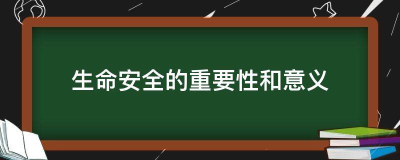 生命安全的重要性和意义（生命安全的重要性和意义论文）