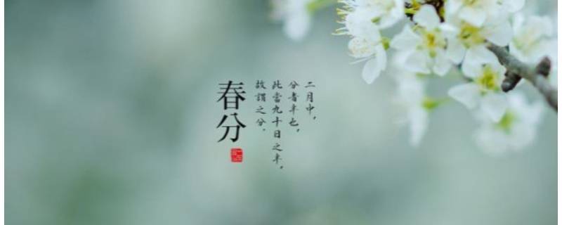 春分吉祥语（春节吉祥话）