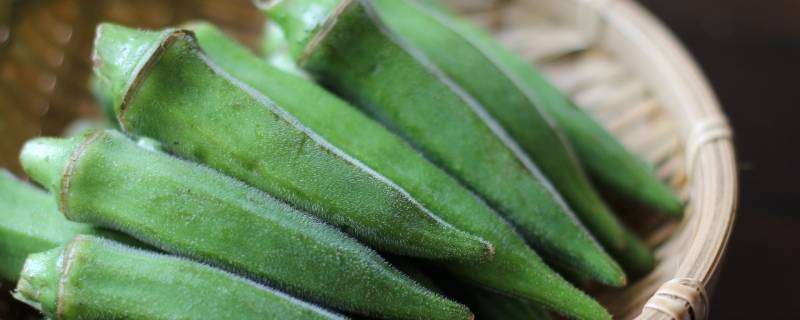 当季蔬菜7-8月份有哪些（7-8月应季蔬菜）