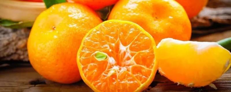 桔子几月份成熟采摘（桔子几月份成熟采摘 它的颜色）